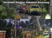 AWI DPC Banyuwangi Soroti Dugaan Tambang Galian C Sumberbulu, Minta Penegakan Hukum Tanpa Tebang Pilih