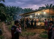 Diduga Arena Sabung Ayam di Dusun Bedengan Ambulu Beroperasi, Muncul Dugaan Adanya Backing Oknum Aparat