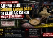 Diduga Kebal Hukum, Arena Judi Sabung Ayam dan Dadu di Klurak Candi Masih Beroperasi, Warga Desak Aparat Bertindak