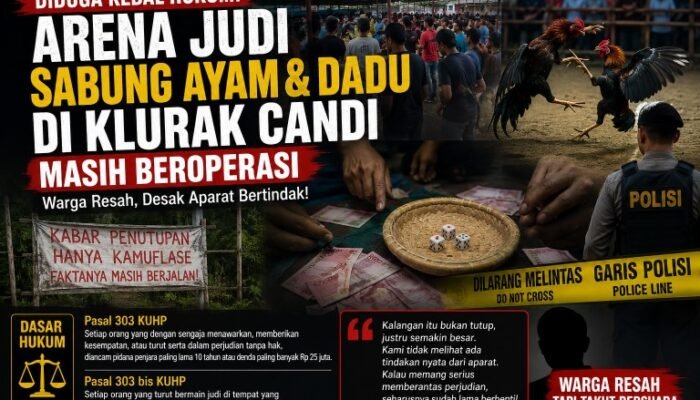 Diduga Kebal Hukum, Arena Judi Sabung Ayam dan Dadu di Klurak Candi Masih Beroperasi, Warga Desak Aparat Bertindak