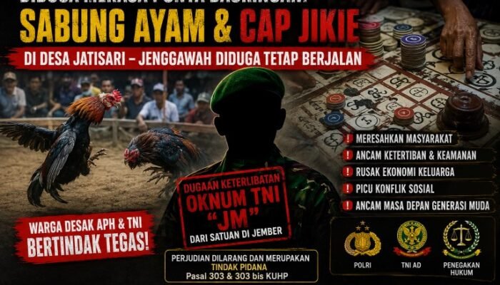 Merasa Punya “Backing”? Dugaan Sabung Ayam dan Cap Jikie di Desa Jatisari Tetap Beroperasi, Warga Minta APH dan TNI Bertindak Tegas