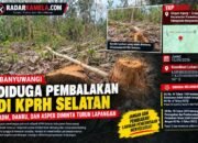 Diduga Pembalakan di KRPH Karetan, Siapa yang Mengawasi? ADM, DANRU, DAN ASPER Diminta Turun CEK di Lapangan