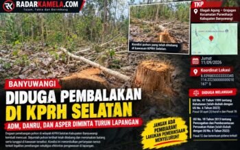 Diduga Pembalakan di KRPH Karetan, Siapa yang Mengawasi? ADM, DANRU, DAN ASPER Diminta Turun CEK di Lapangan