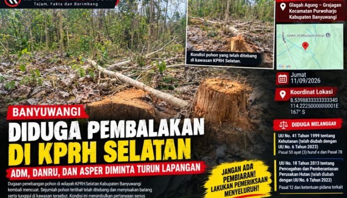 Diduga Pembalakan di KRPH Karetan, Siapa yang Mengawasi? ADM, DANRU, DAN ASPER Diminta Turun CEK di Lapangan